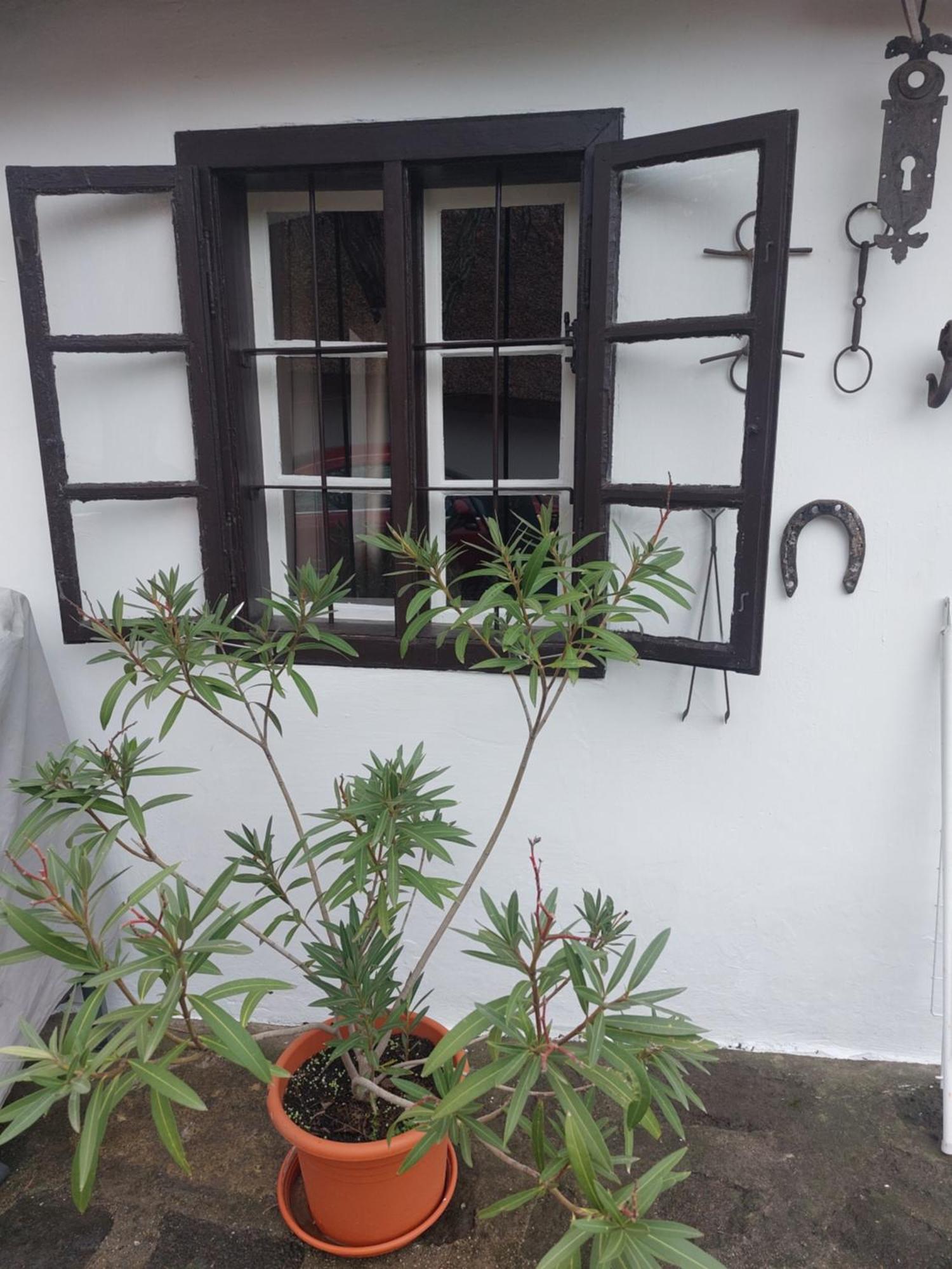 Babamuzeum Apartman Tihany Esterno foto